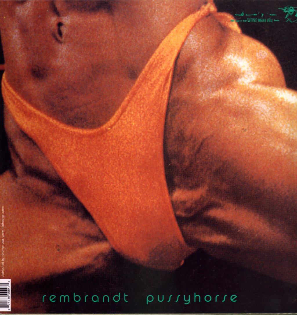 Butthole Surfers - Rembrandt Pussyhorse - Lp