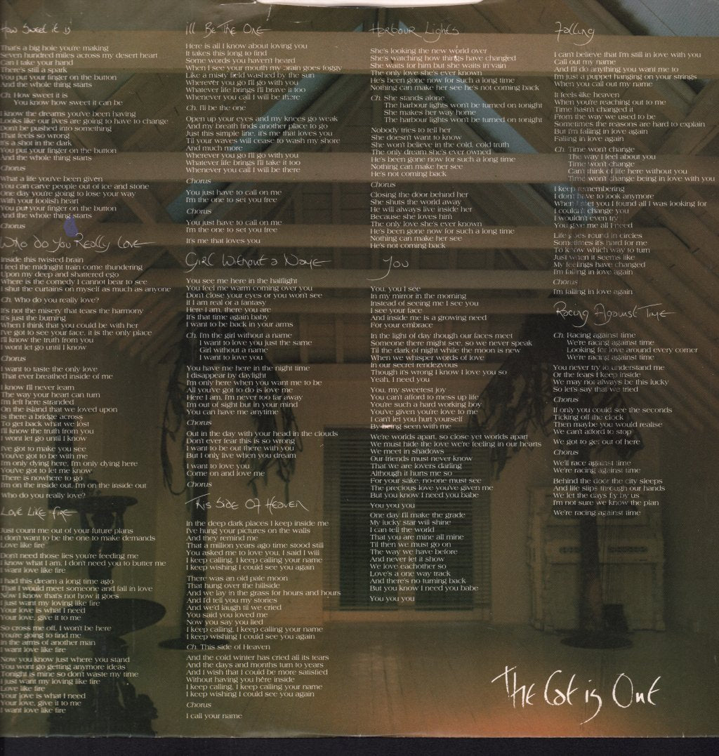 Judie Tzuke - Cat Is Out - Lp