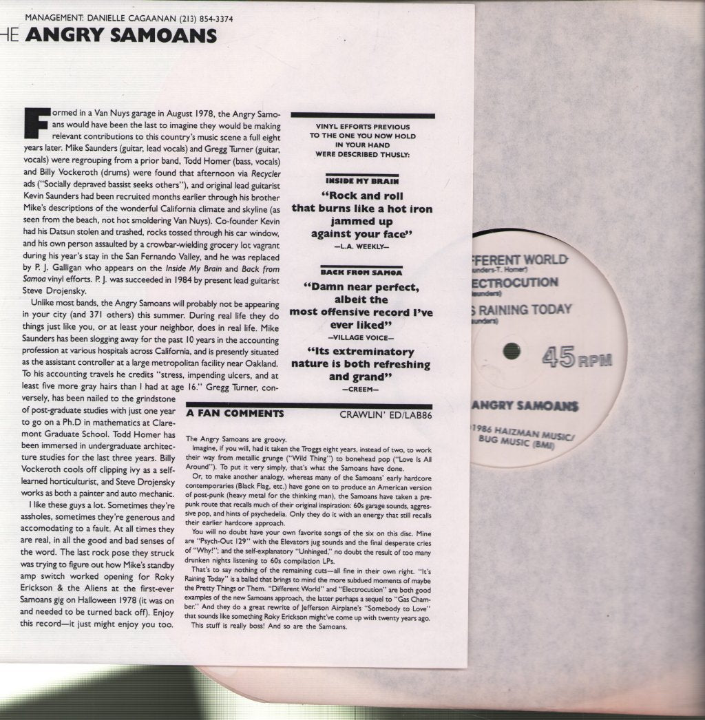 Angry Samoans - Different World - 12 Inch