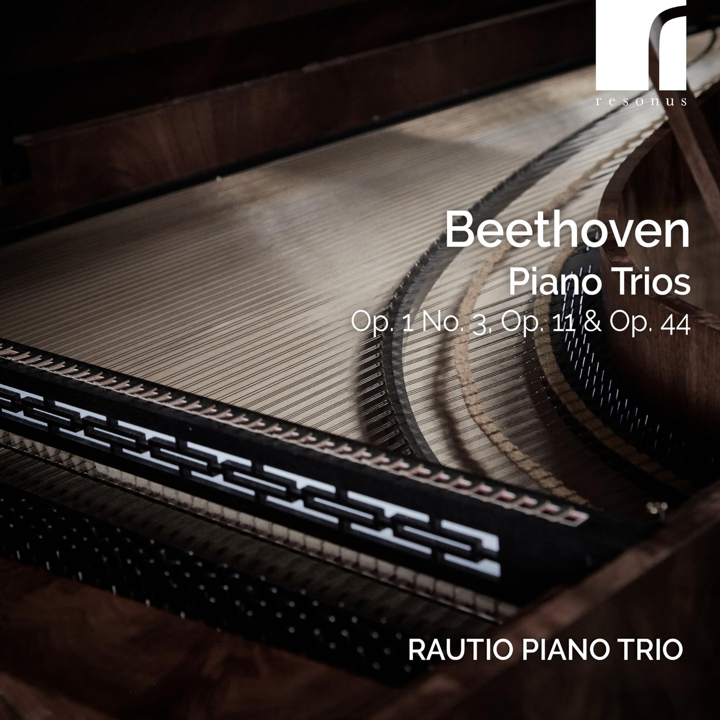Rautio Piano Trio - Beethoven Piano Trios Op. 1 No. 3, Op. 11 & Op. 44 - Cd