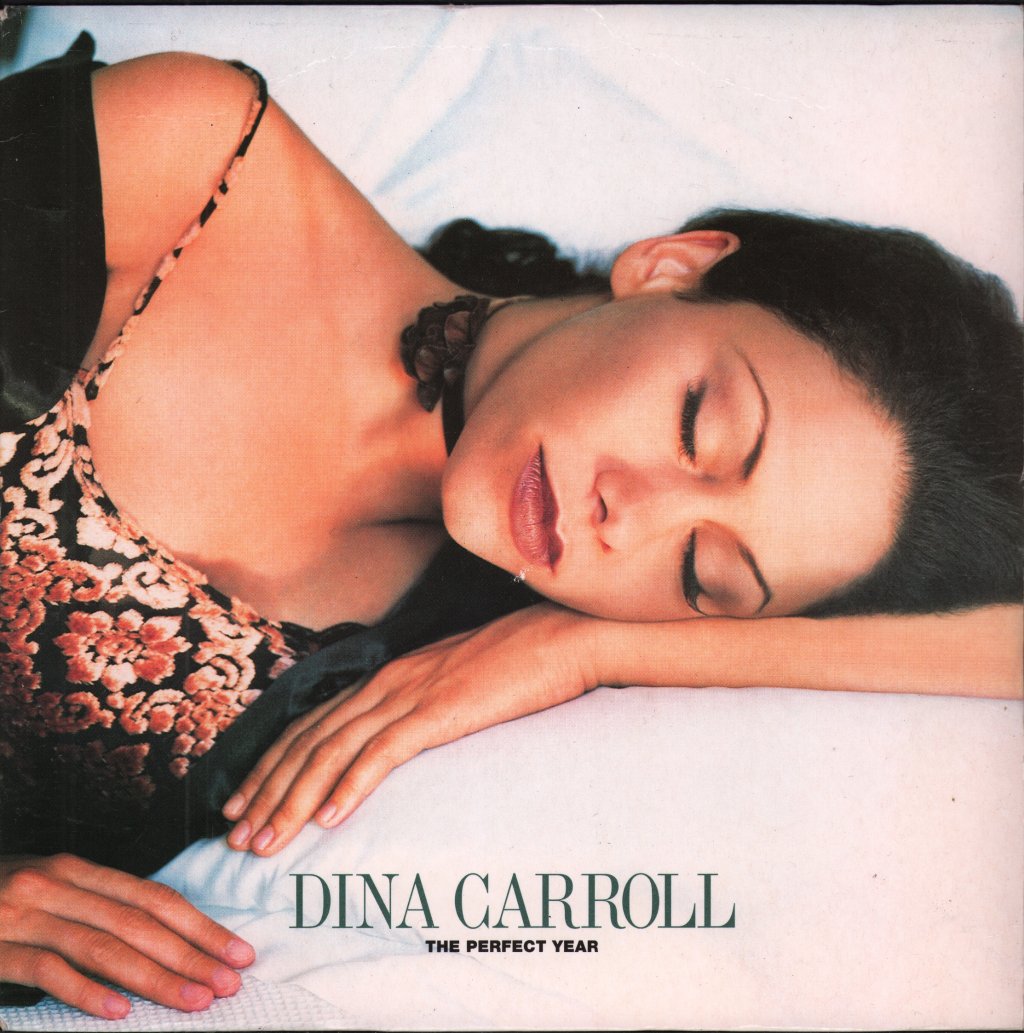 Dina Carroll - Perfect Year - 7 Inch