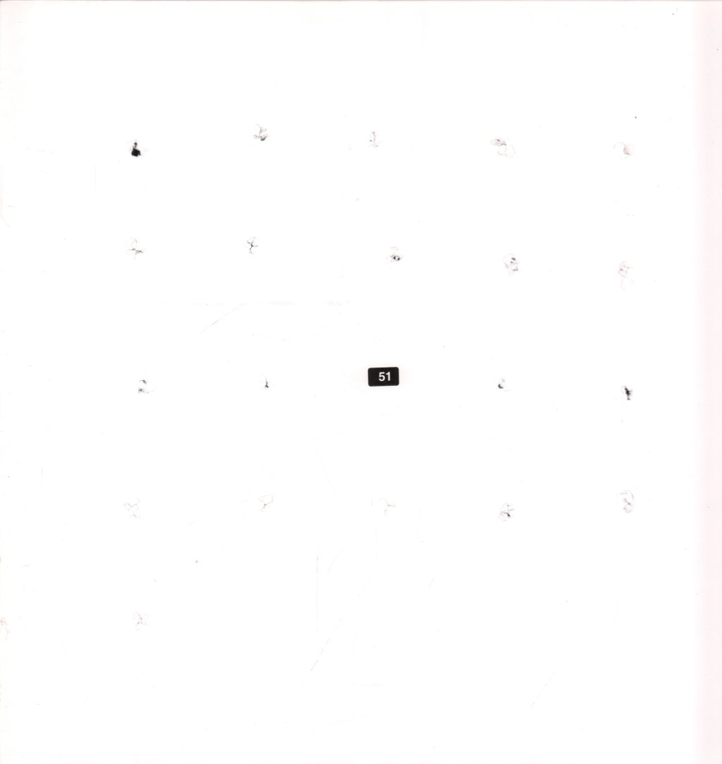 Alog - Split #20 - 12 Inch