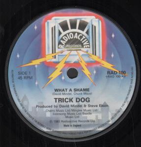 Trick Dog - What A Shame - 7 Inch