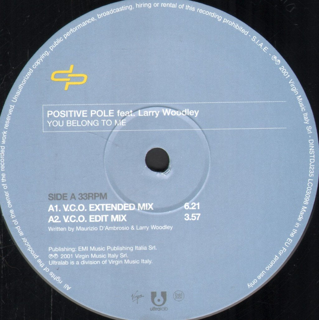 positive pole feat. larry woodley - You Belong To Me - 12 Inch
