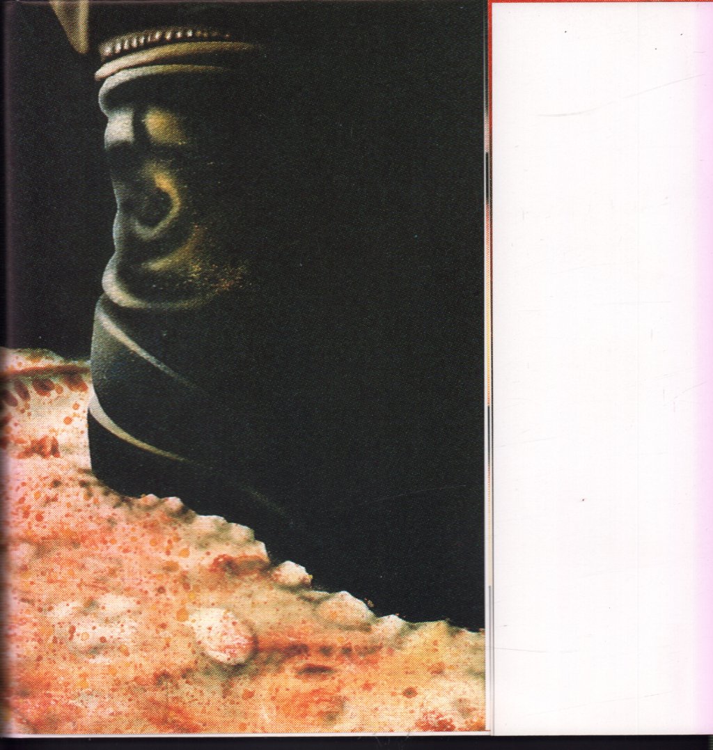 Fish - Credo - 12 Inch