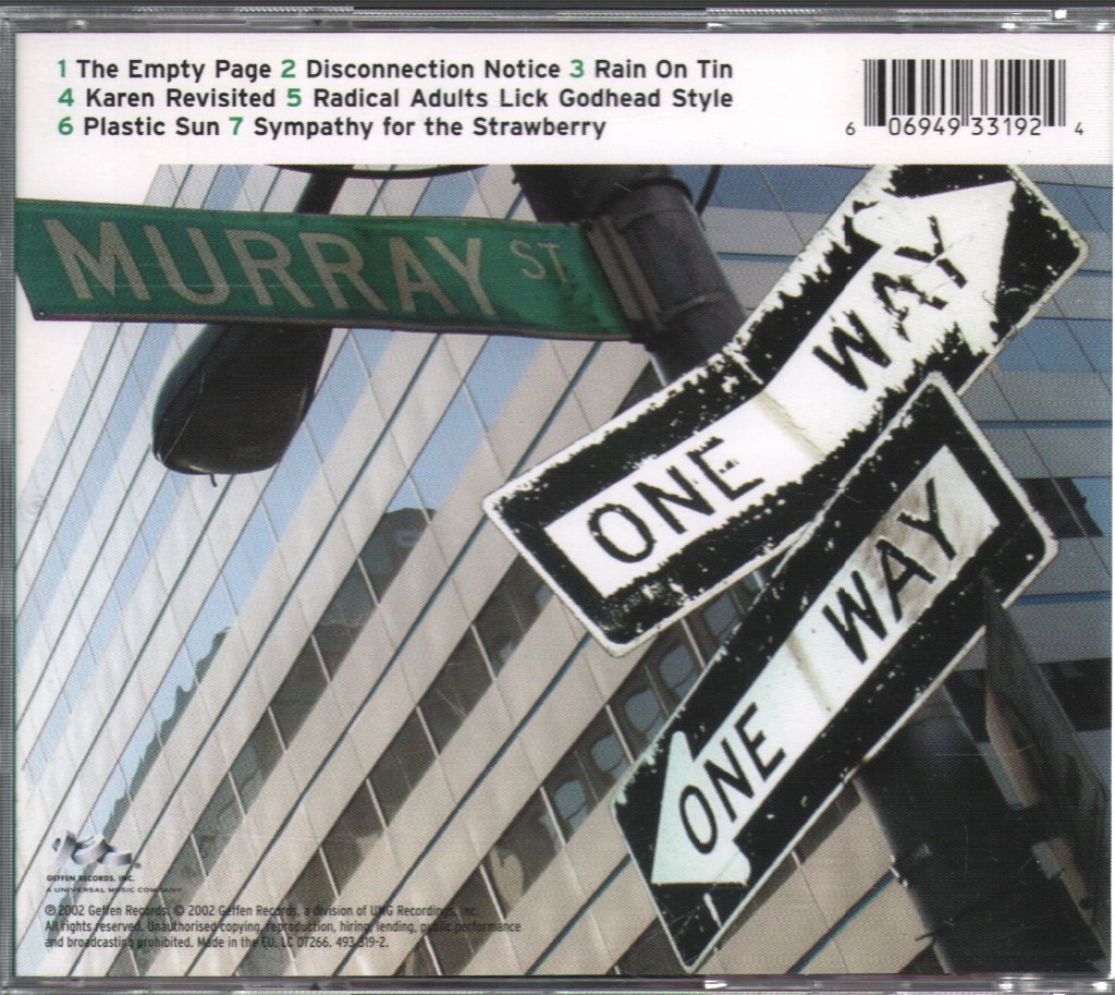 Sonic Youth - Murray Street - Cd