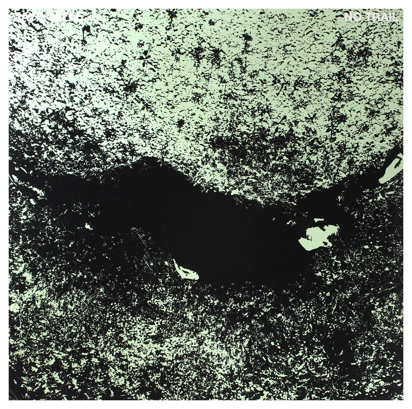 Jaye Jayle - No Trail and Other Unholy Paths - Lp