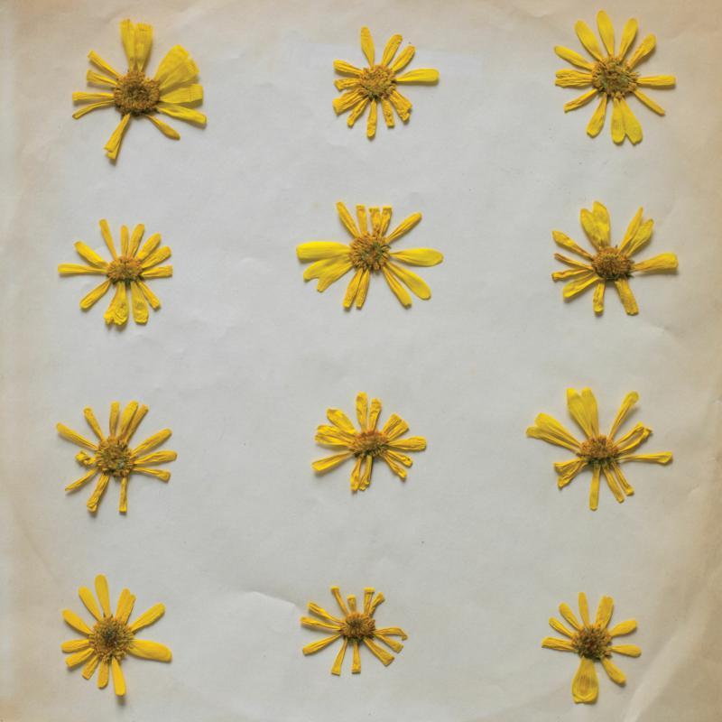 Molochs - Flowers In the Spring - Lp