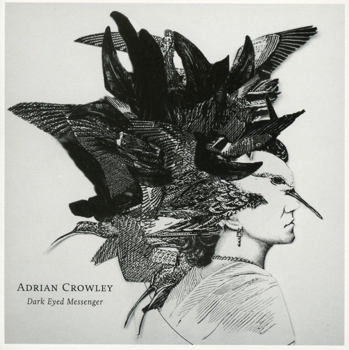 Adrian Crowley - Dark Eyed Messenger - Cd