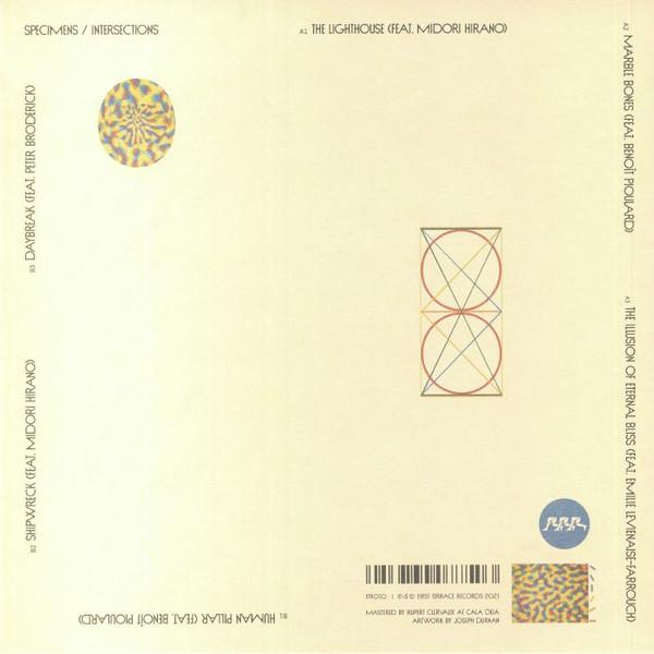 Specimens - Intersections - Lp