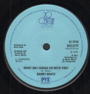 Barry White - What Am I Gonna Do With You - 7 Inch