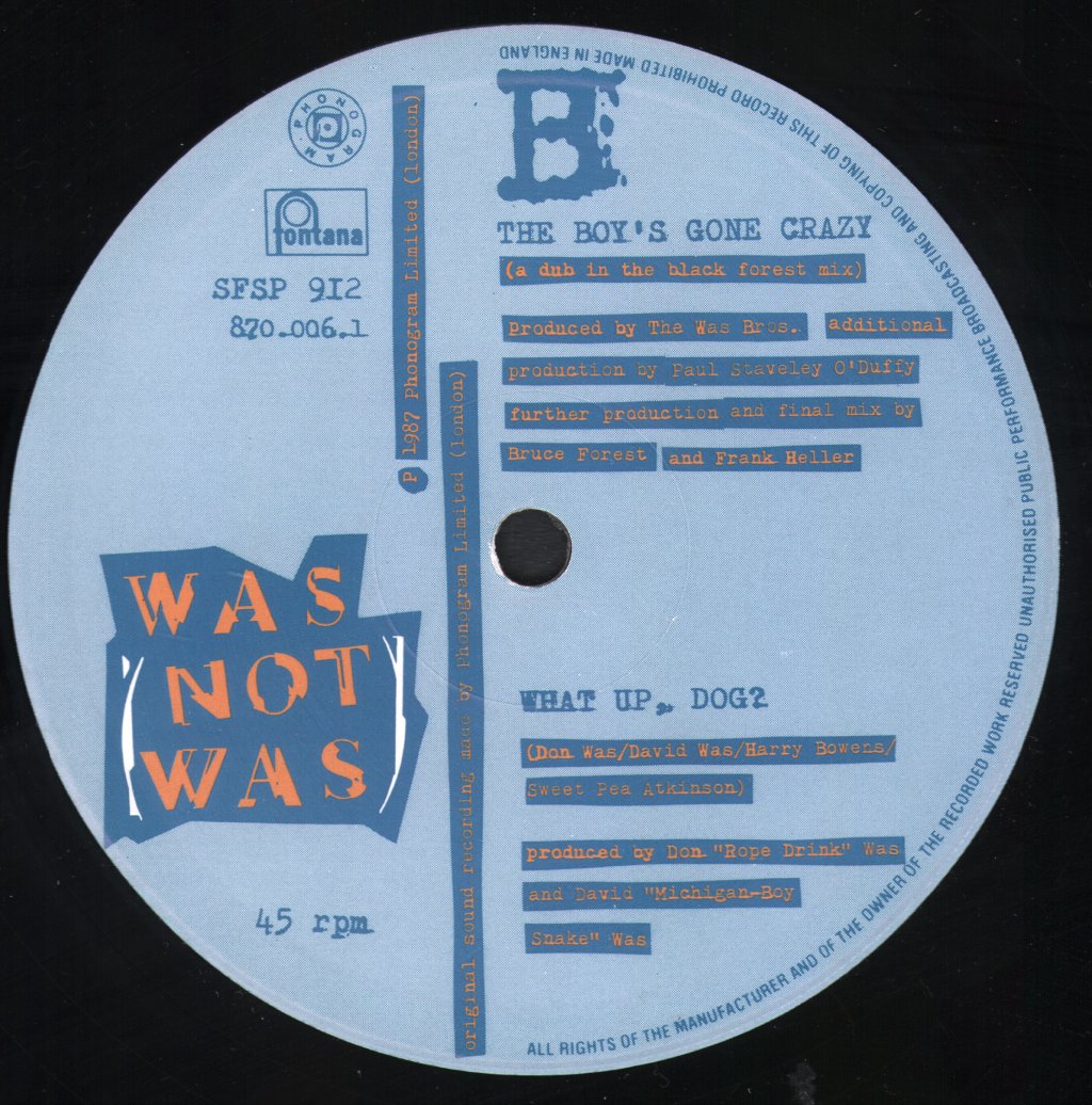 Was Not Was - Boys Gone Crazy - 12 Inch