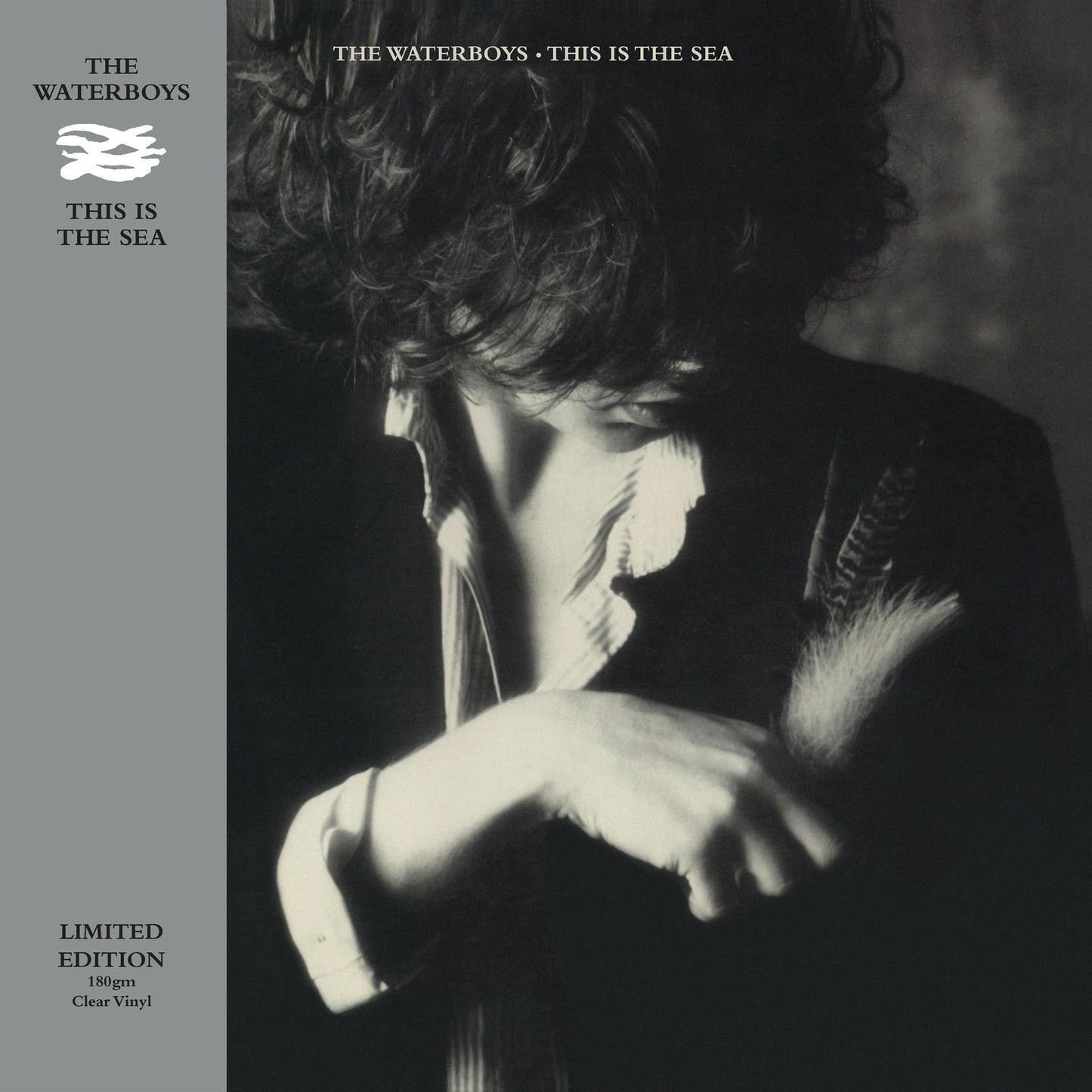Waterboys - This Is the Sea - Lp