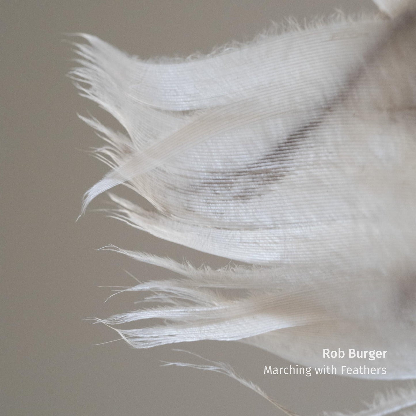 Rob Burger - Marching With Feathers - Lp