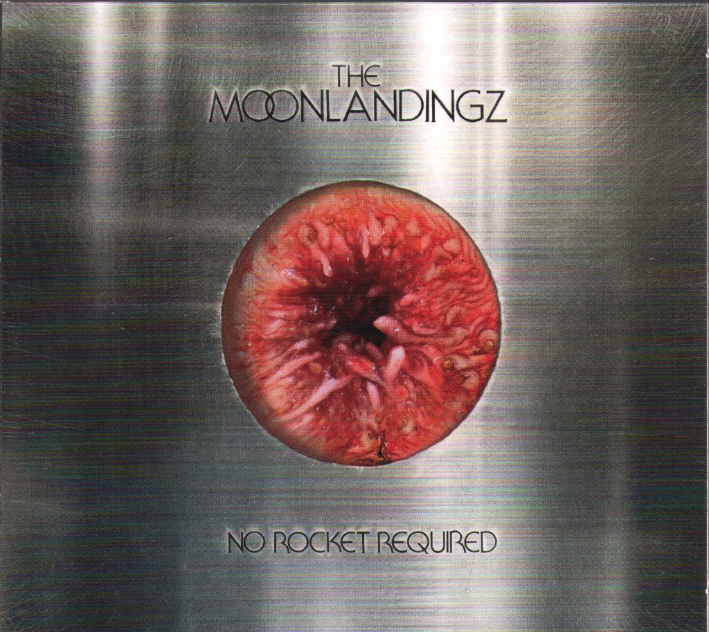 Moonlandingz - No Rocket Required - Cd