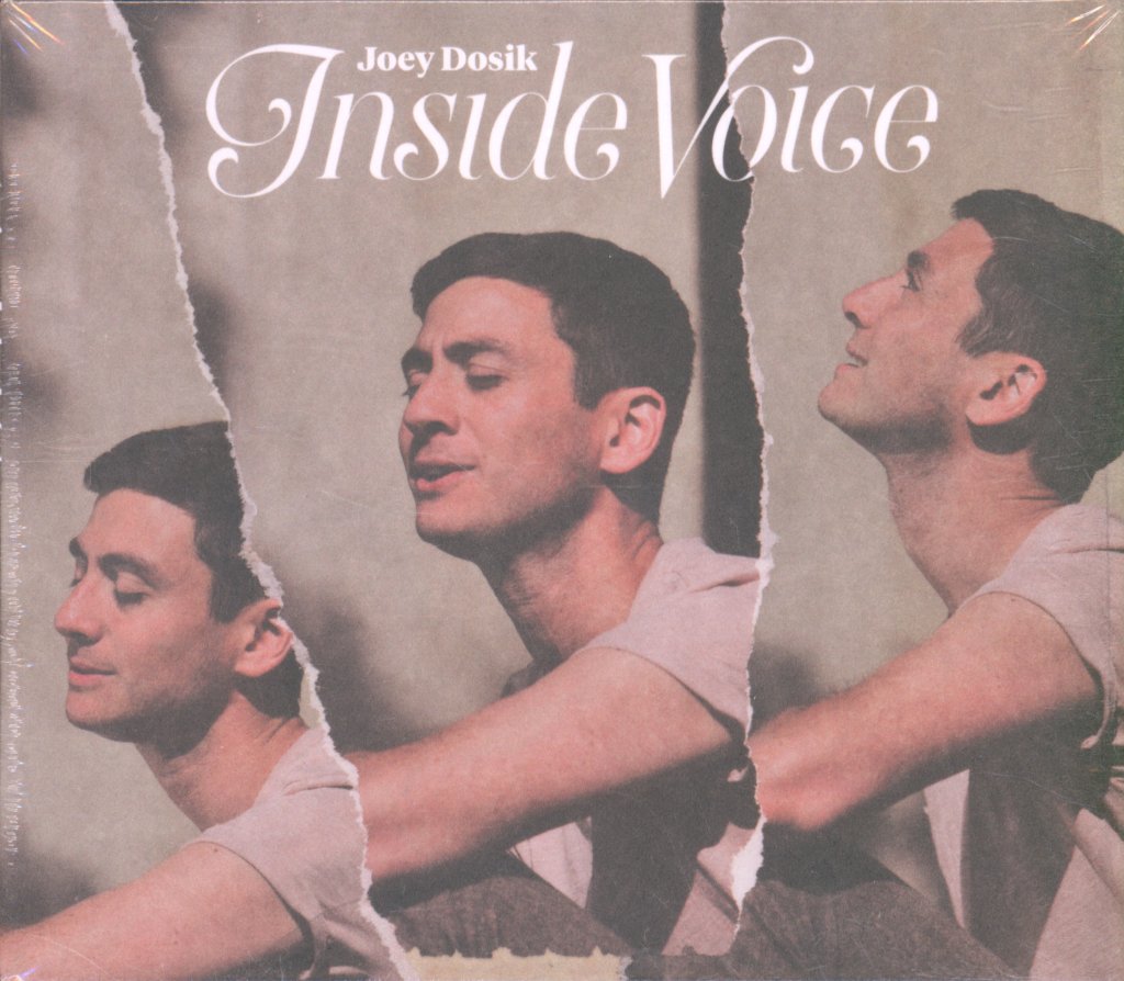 Joey Dosik - Inside Voice - Cd