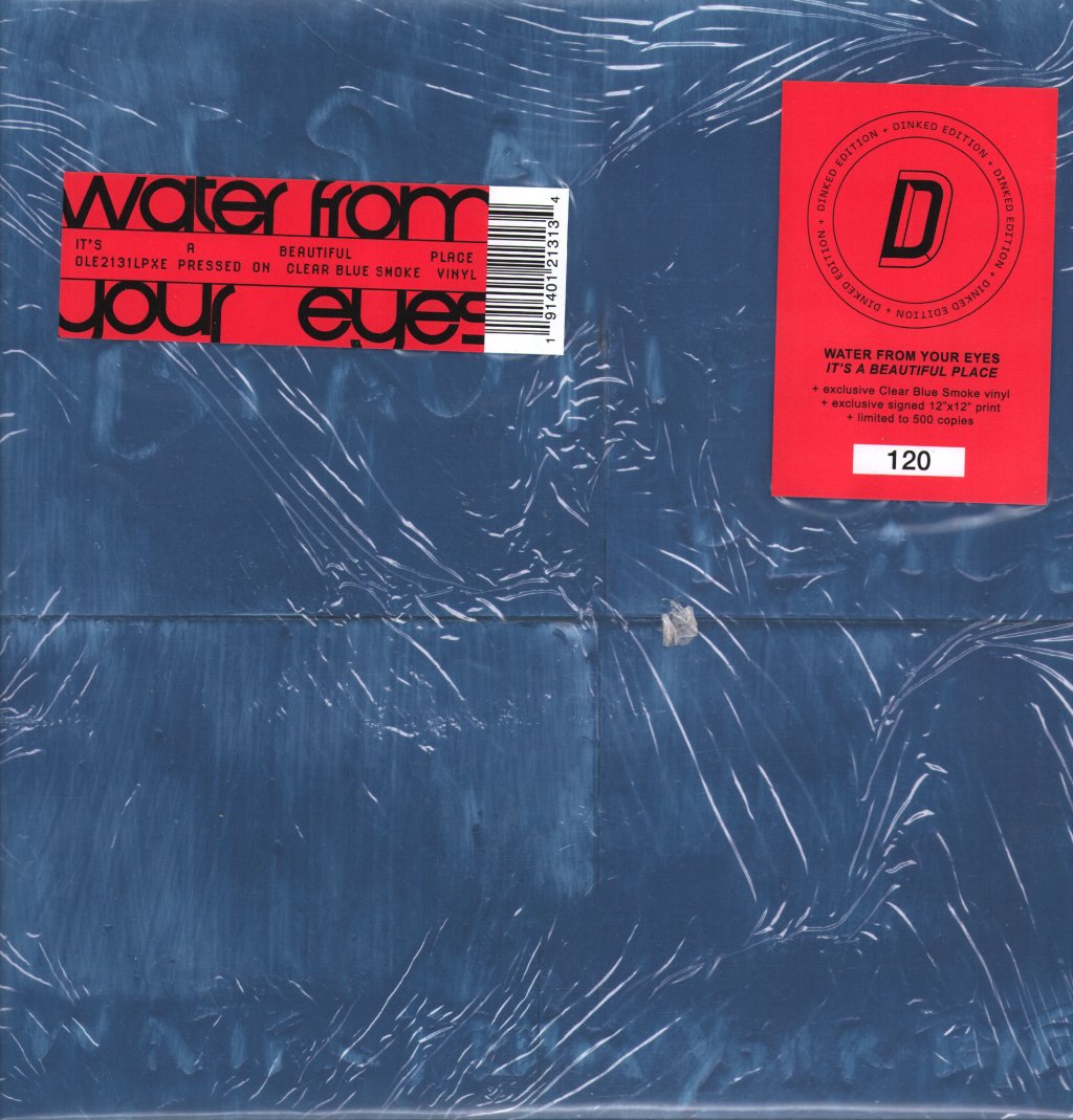 Water From Your Eyes - It's A Beautiful Place (Dinked Edition #350) - Lp