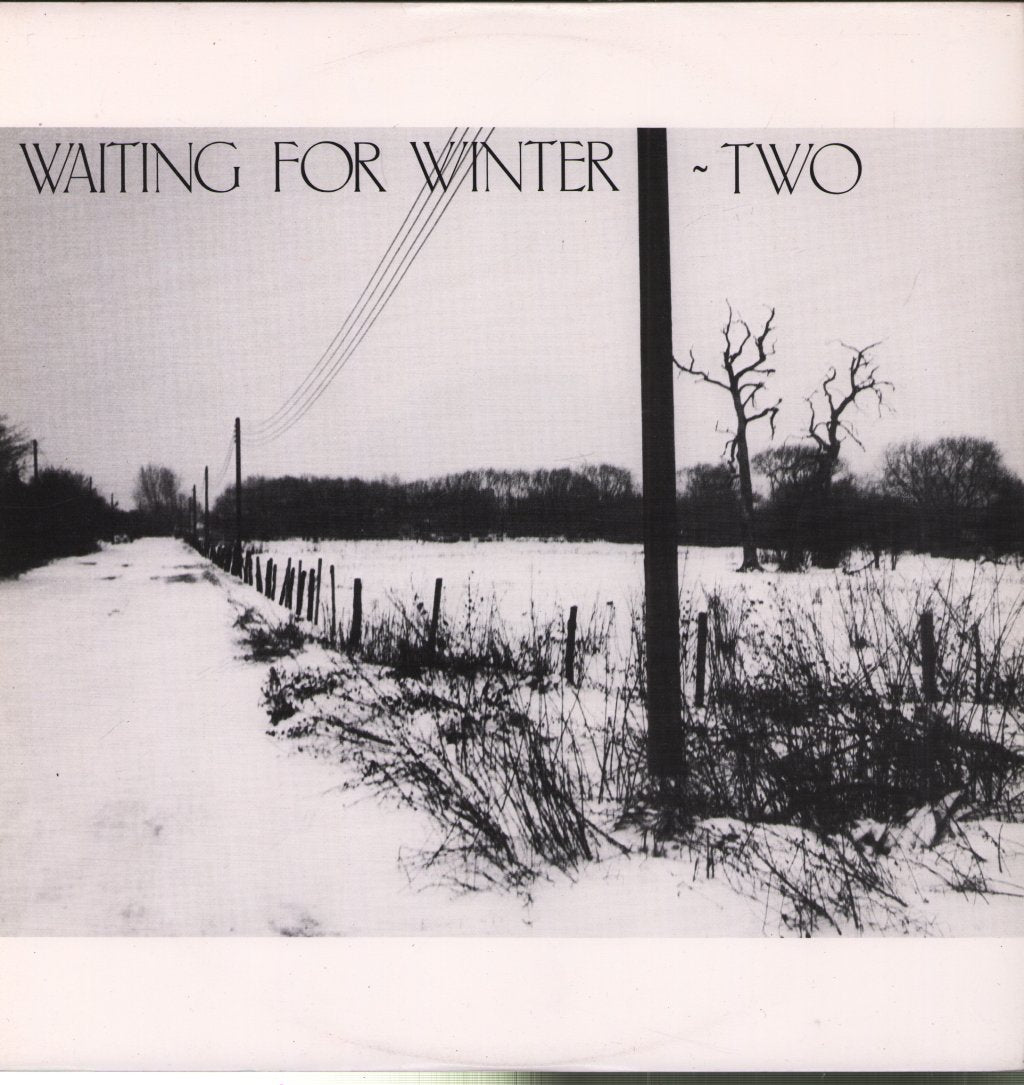Two (Synth/Pop Group) - Waiting For Winter - 12 Inch