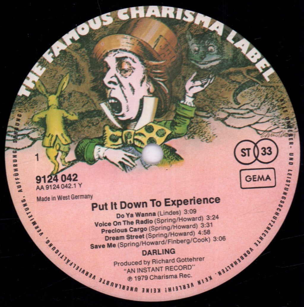 Darling (70'S Group) - Put It Down To Experience - Lp