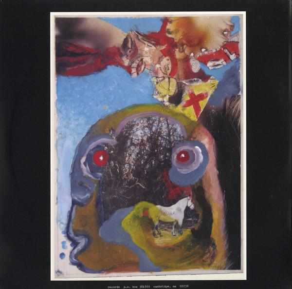 Sunburned Hand Of The Man - Complexion - Lp
