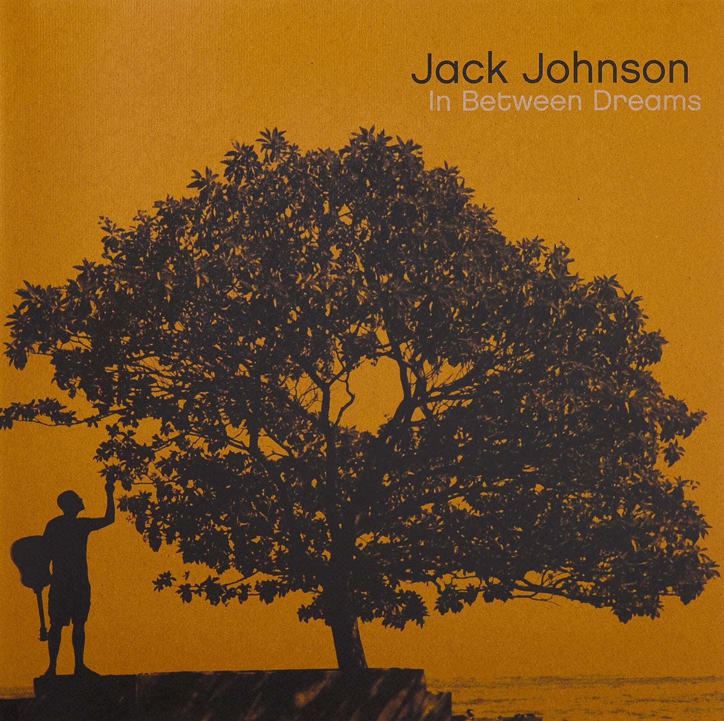 Jack Johnson - In Between Dreams - Lp