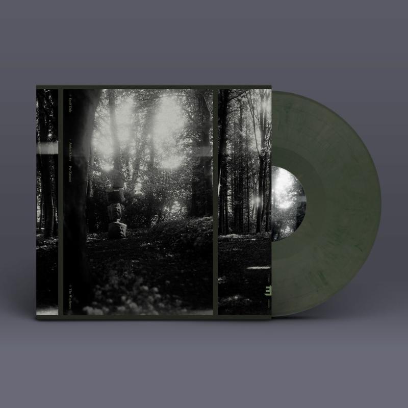 Eyolf Dale - Wayfarers - Lp