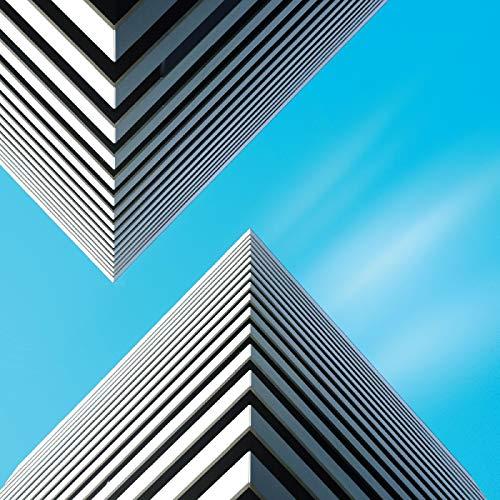 Snow Palms - Land Waves - Cd