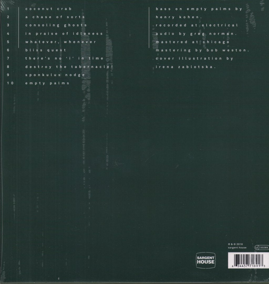 This Town Needs Guns - Disappointment Island - Lp