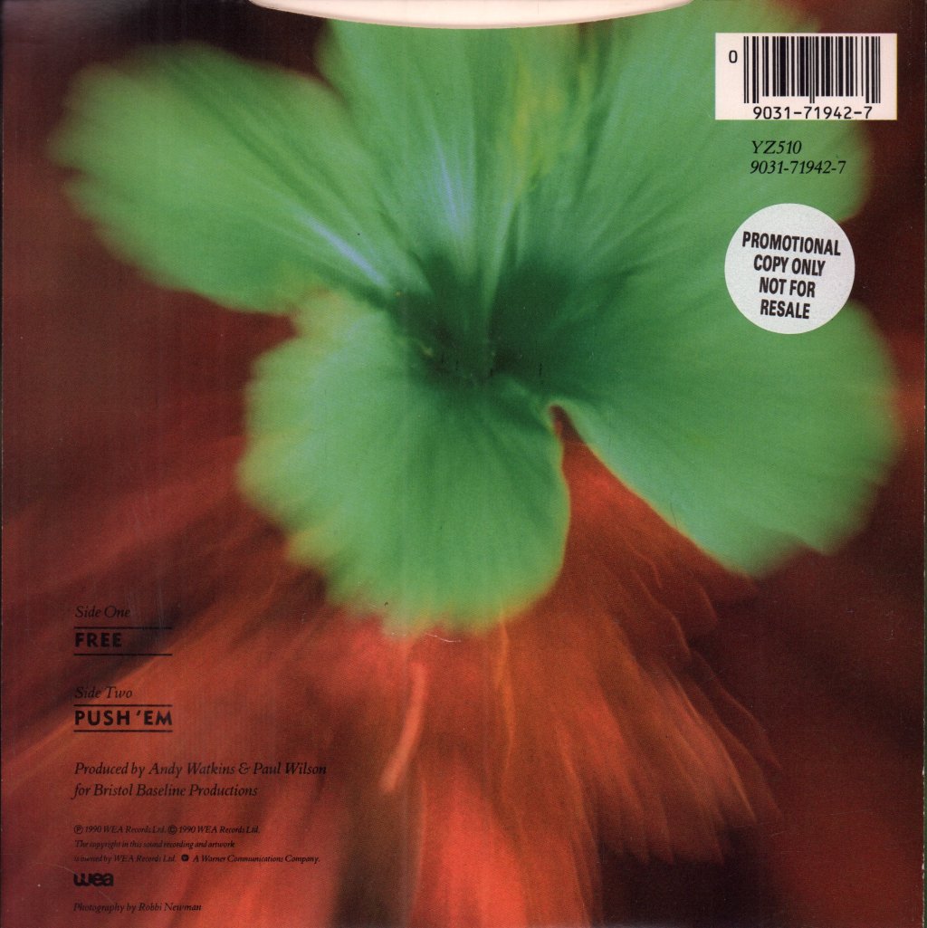 Tammy Payne - Free - 7 Inch