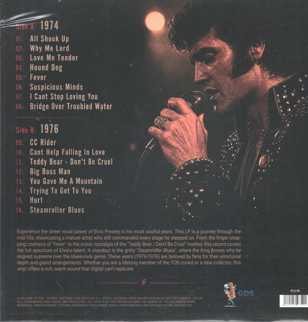 Elvis Presley - Rock N' Roll Hero - Lp