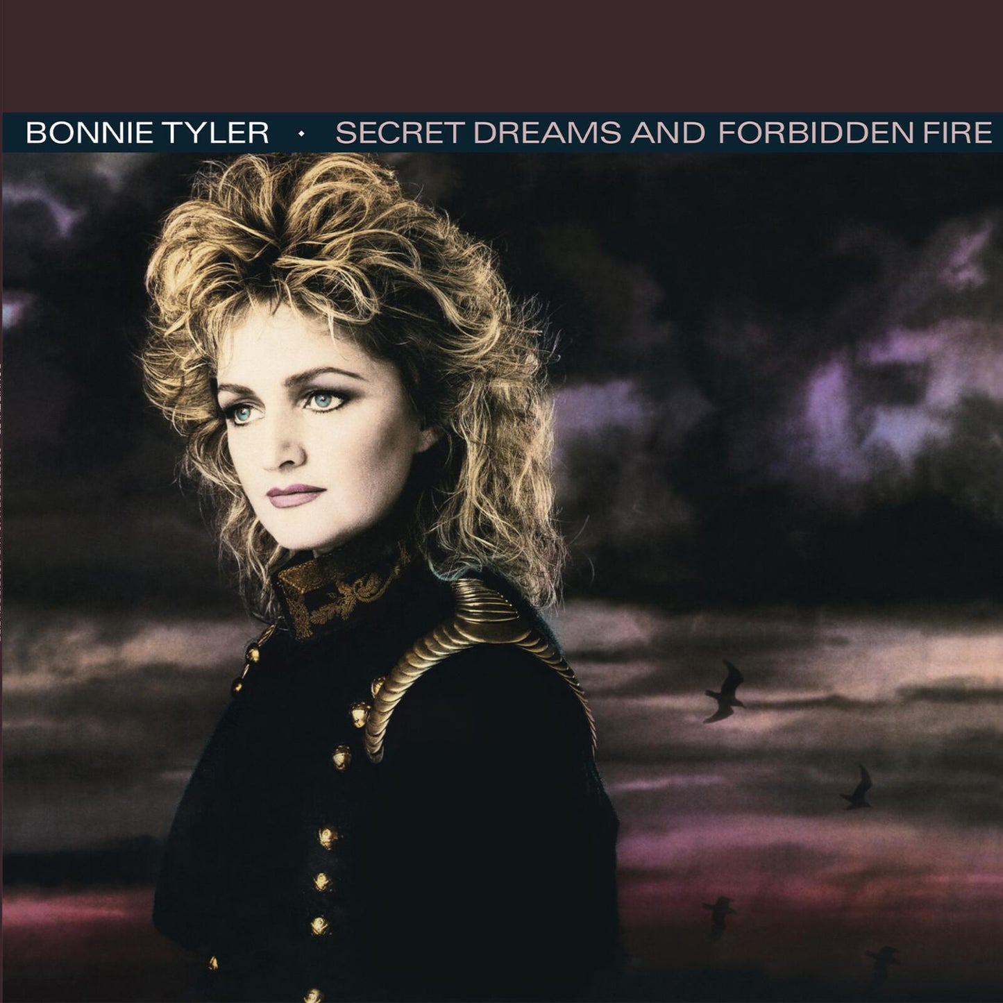 Bonnie Tyler - Secret Dreams and Forbidden... - Lp
