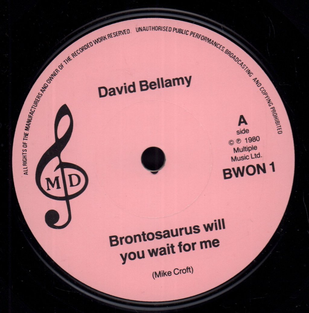 David Bellamy - Brontosaurus Will You Wait For Me - 7 Inch