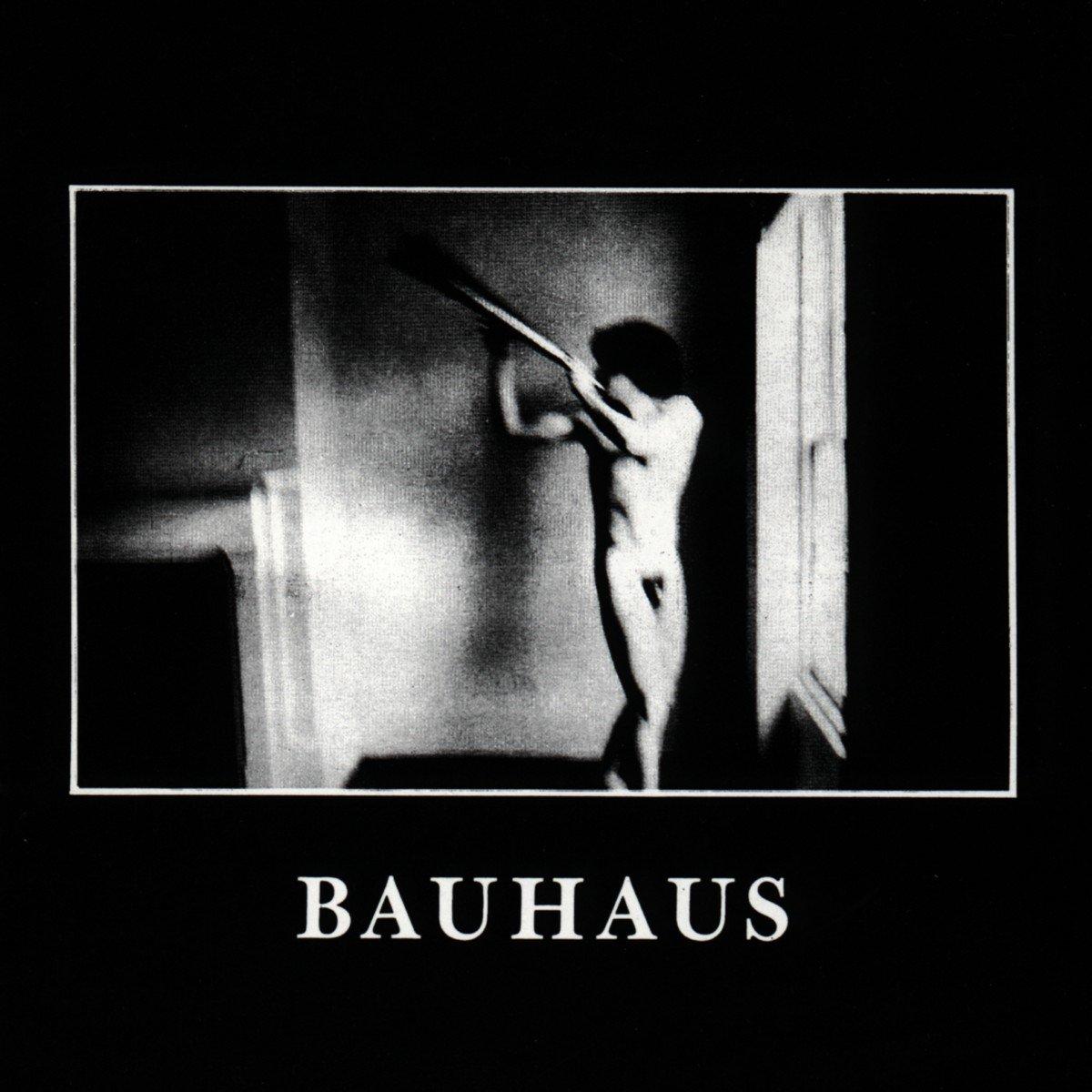 Bauhaus - In the Flat Field - Cd
