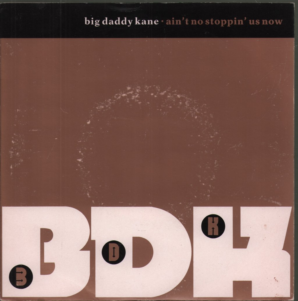 Big Daddy Kane - Ain't No Stoppin' Us Now - 7 Inch