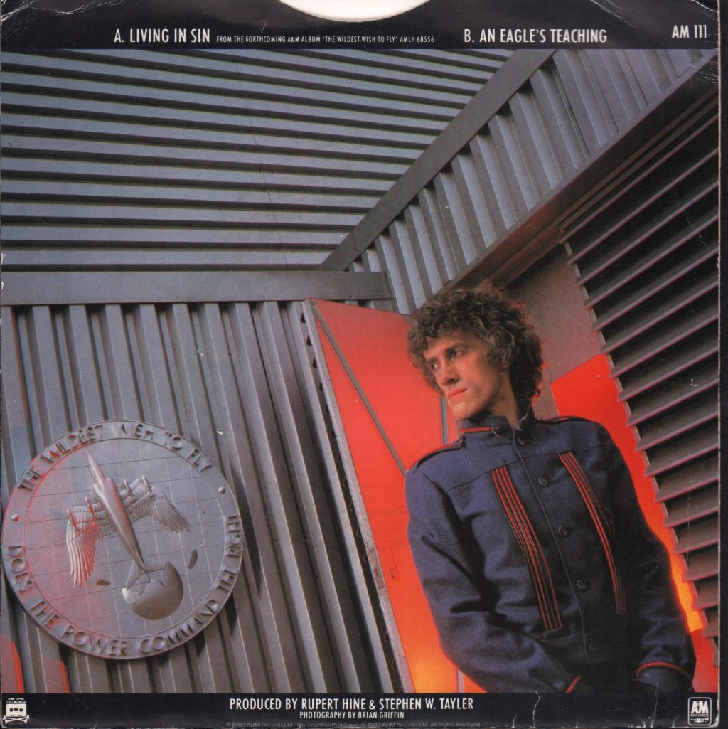Rupert Hine - Living In Sin - 7 Inch