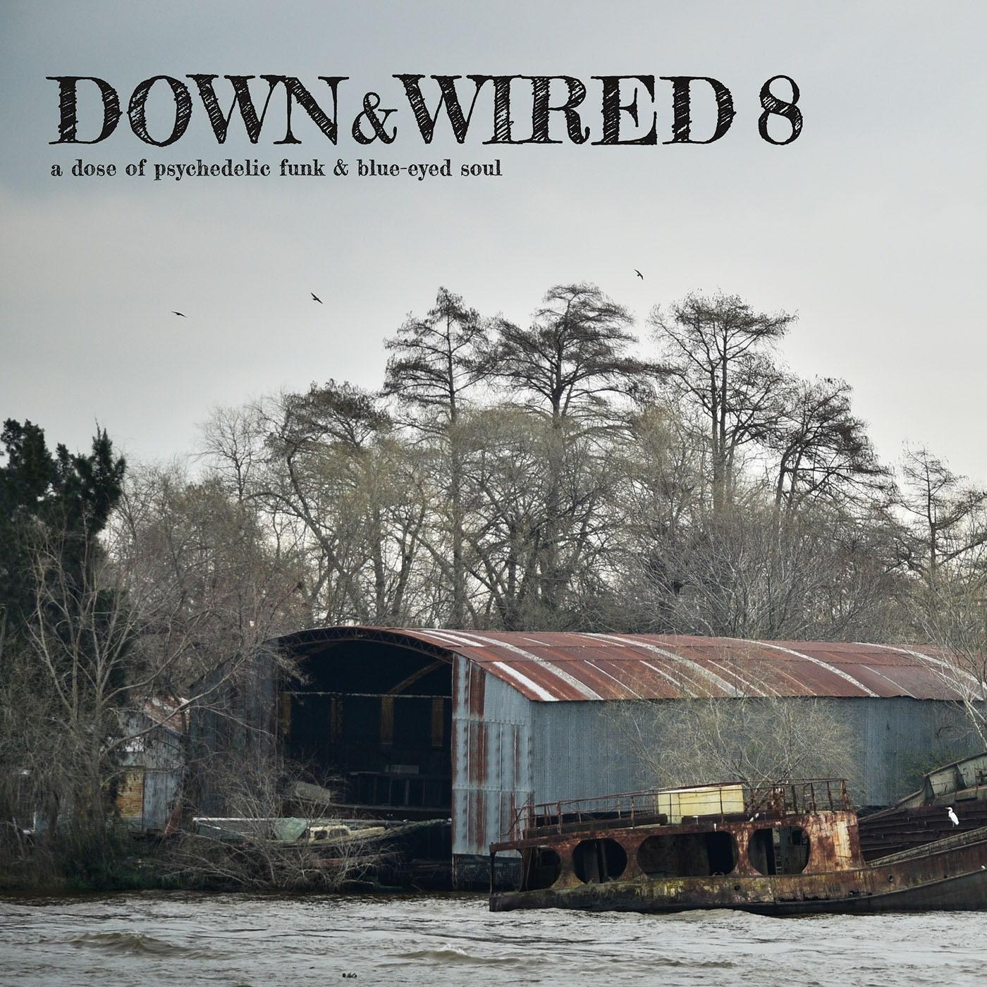 Various Artists - Down & Wired 8 - Lp
