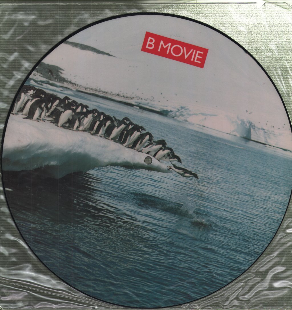 B Movie - Polar Opposites - 12 Inch