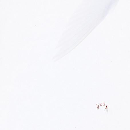 Jj - jj n° 3 - Cd