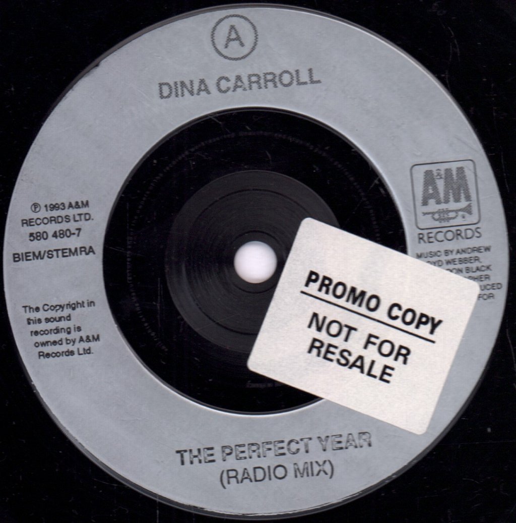Dina Carroll - Perfect Year - 7 Inch
