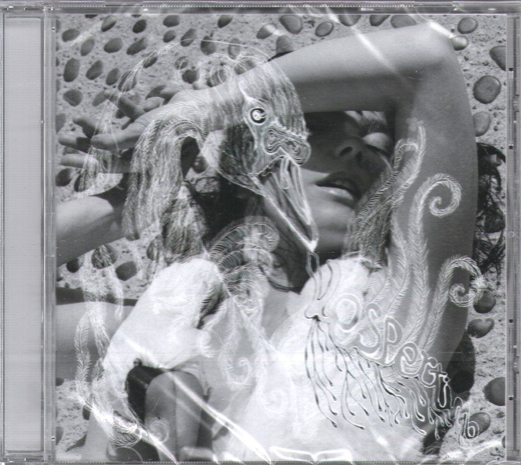 Bjork - Vespertine - Cd