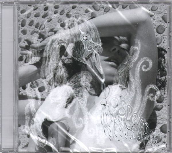 Bjork - Vespertine - Cd – Vinyl Tap