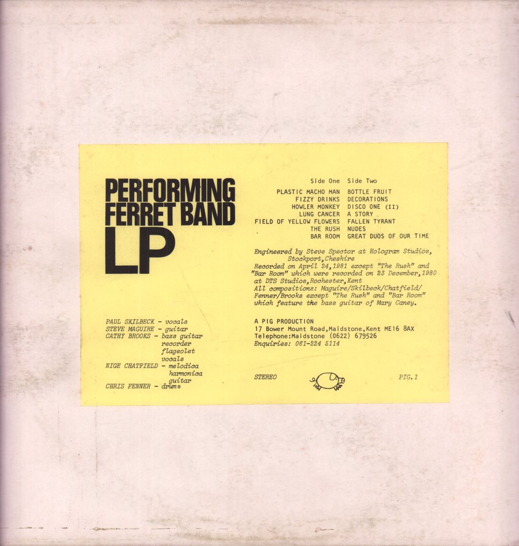Performing Ferret Band - Lp - Lp