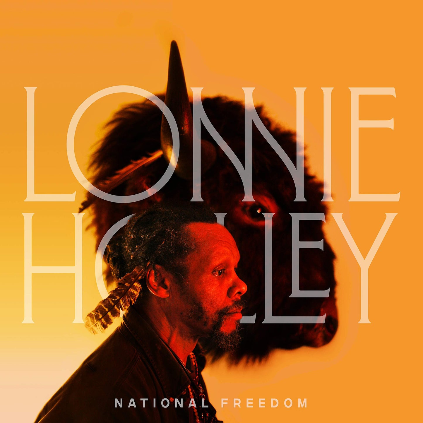 Lonnie Holley - National Freedom - Lp