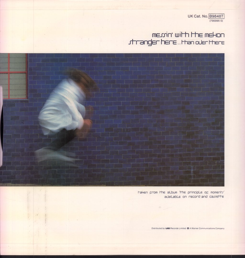 Robert Plant - Big Log - 12 Inch