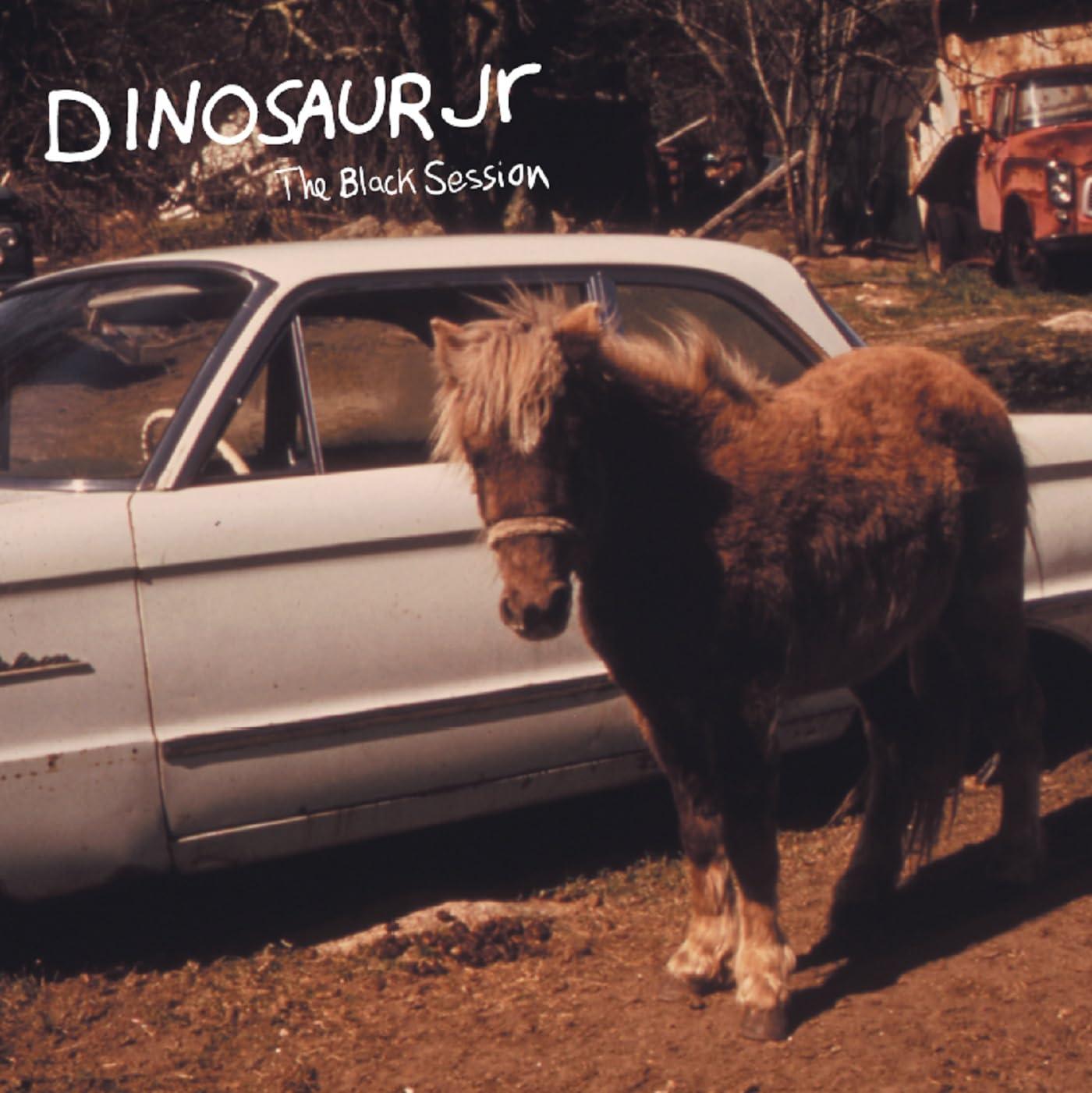 Dinosaur Jr - Black Session - Live In Paris 1993 12" Vinyl Edition - Lp