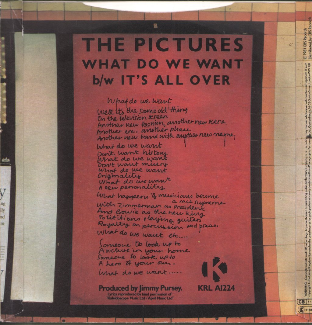 Pictures (New Wave) - What Do You Want - 7 Inch