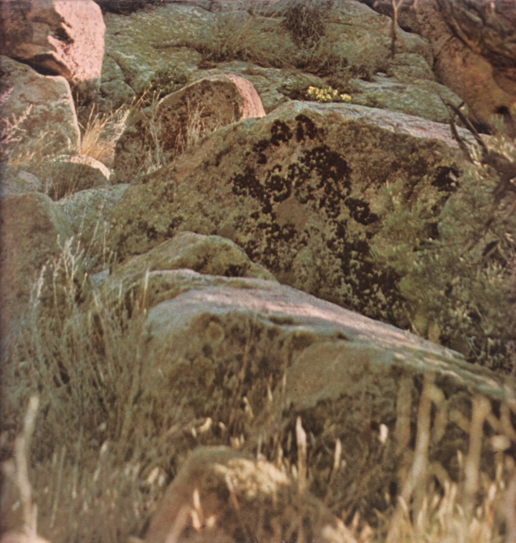 Dave Mason - Alone Together - Lp