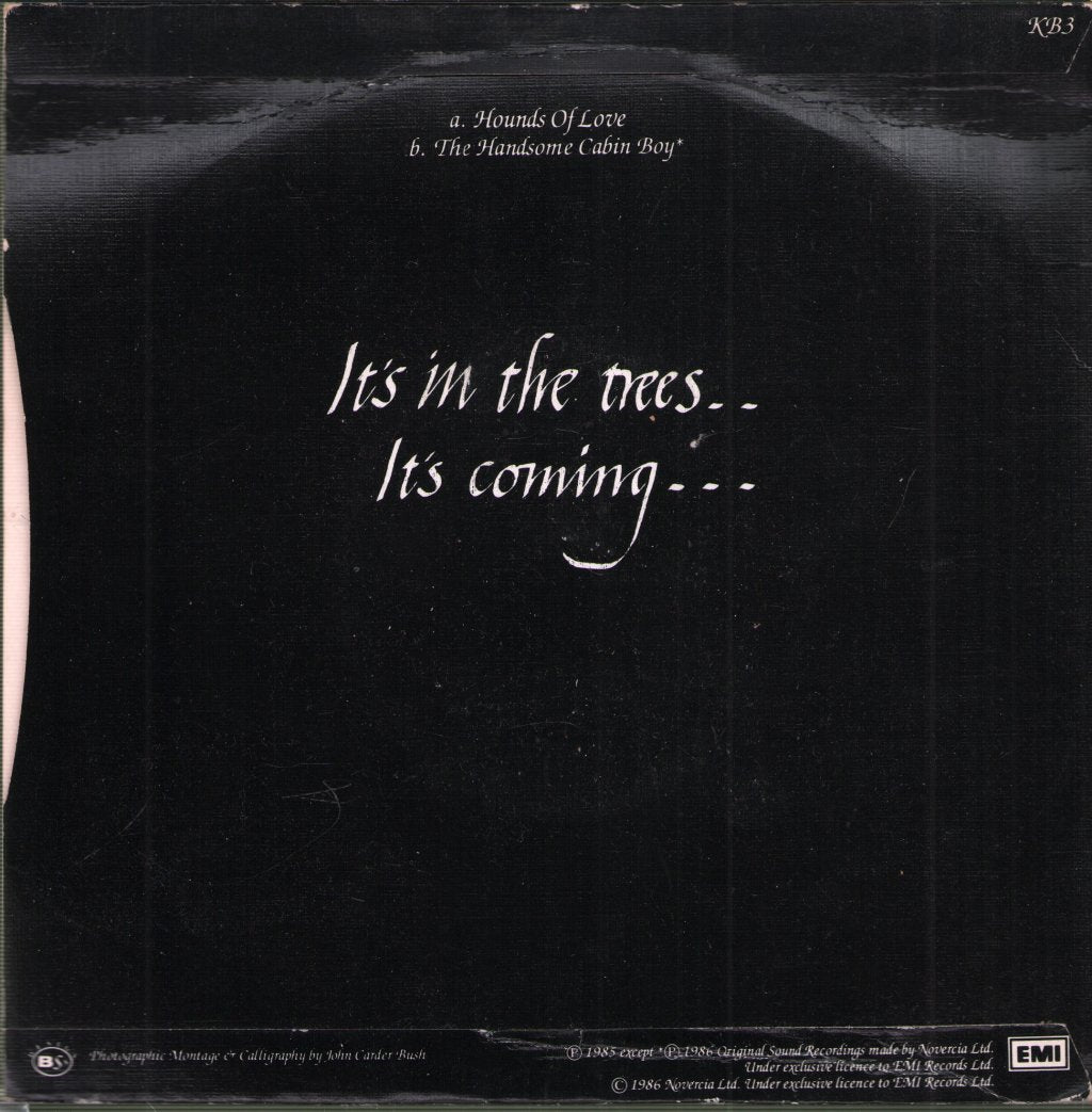 Kate Bush - Hounds Of Love - 7 Inch