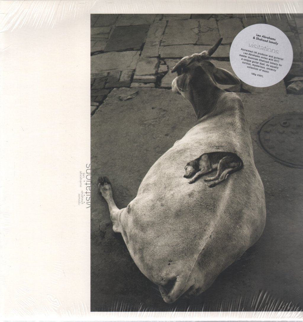 Leo Abrahams and Shahzad Ismaily - Visitations - Lp