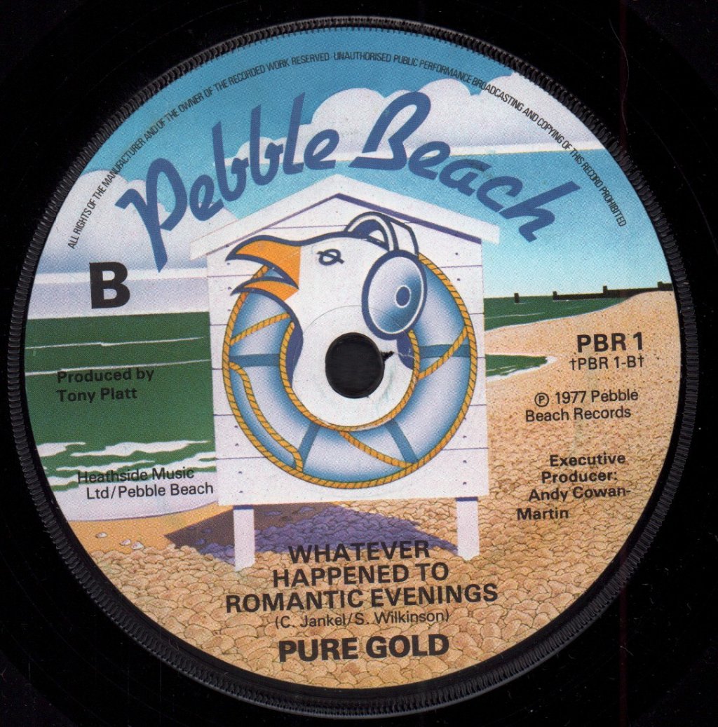 Pure Gold - Can You Dig It - 7 Inch